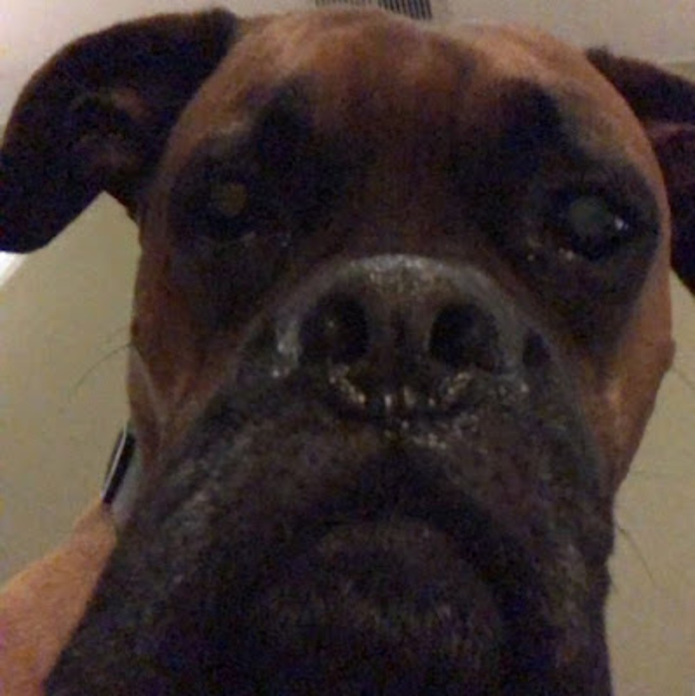 Meet your Posher, Kate